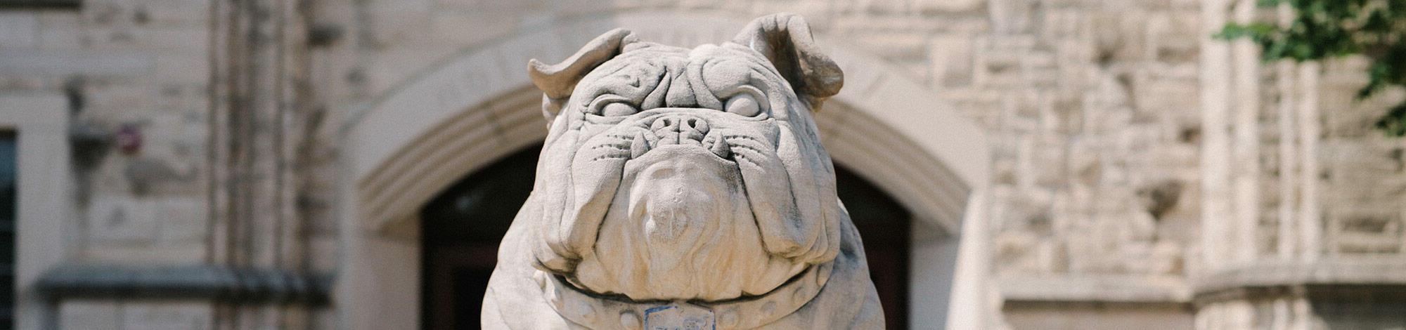 front of stone Bulldog statue
